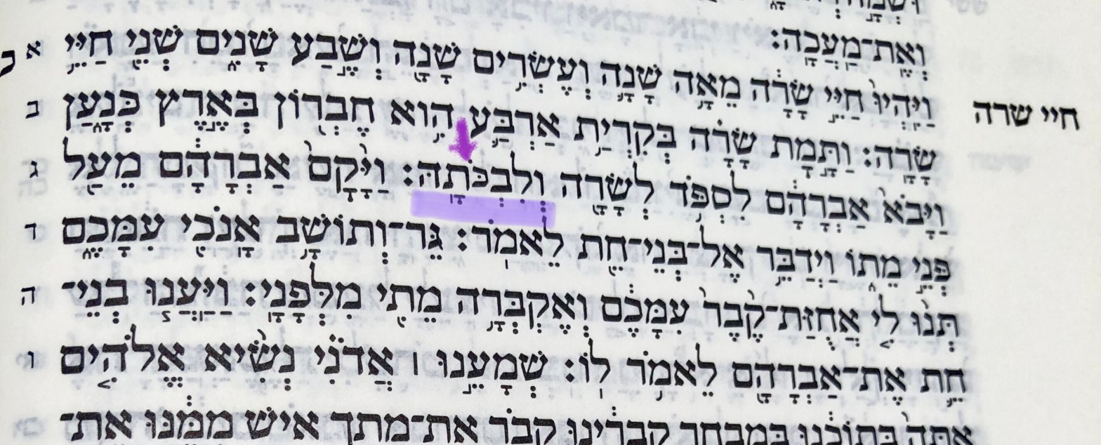 סודות הטקסט המקראי המופלא